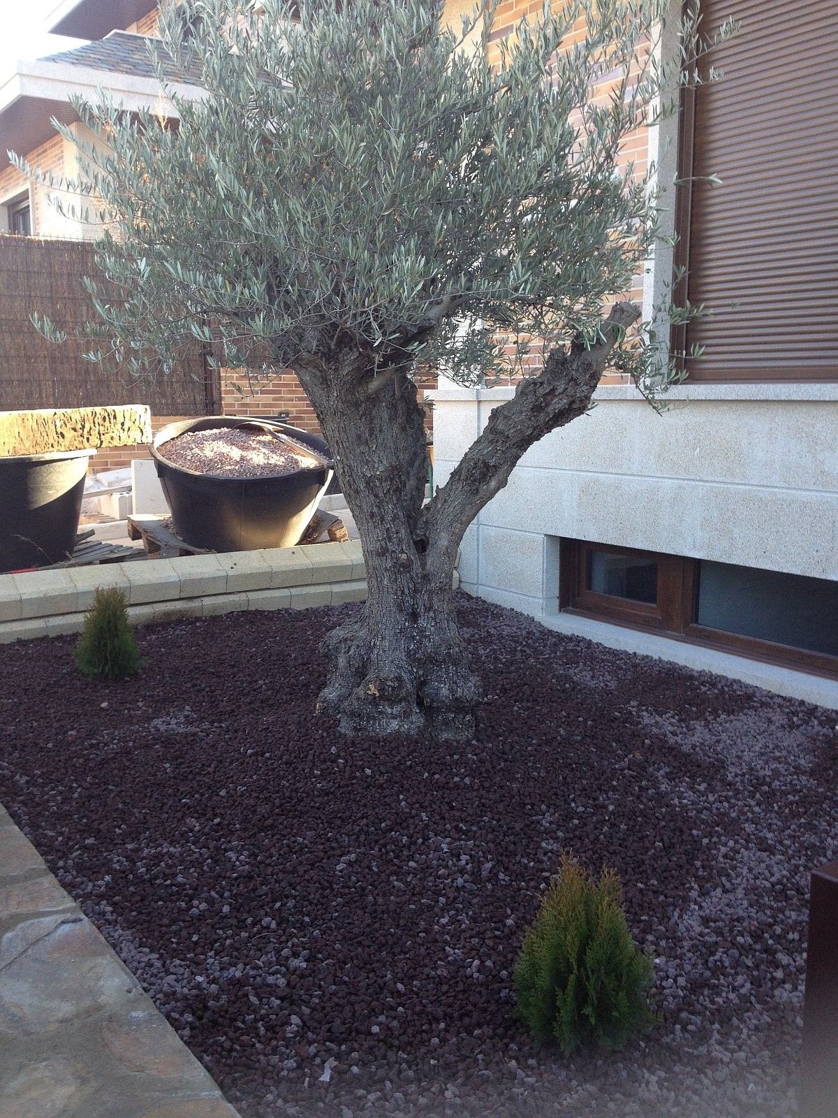 fotos movil iphon 2179